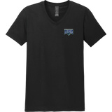 Kensington Valley Ravens Softstyle V-Neck T-Shirt