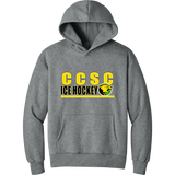 Chester County Heavyweight Hoodie